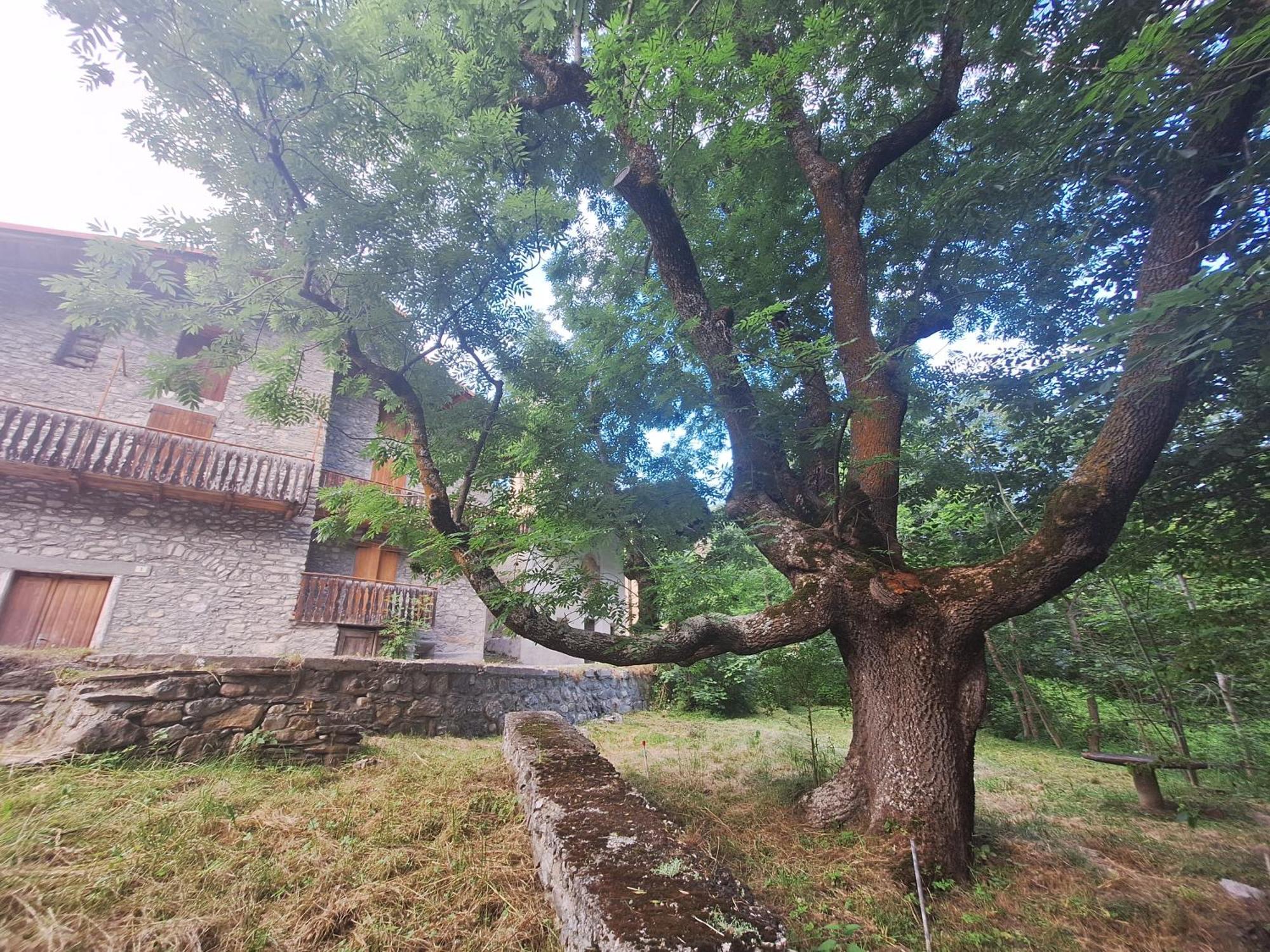 阿切廖La Casa Del Gigante Frassino公寓 外观 照片